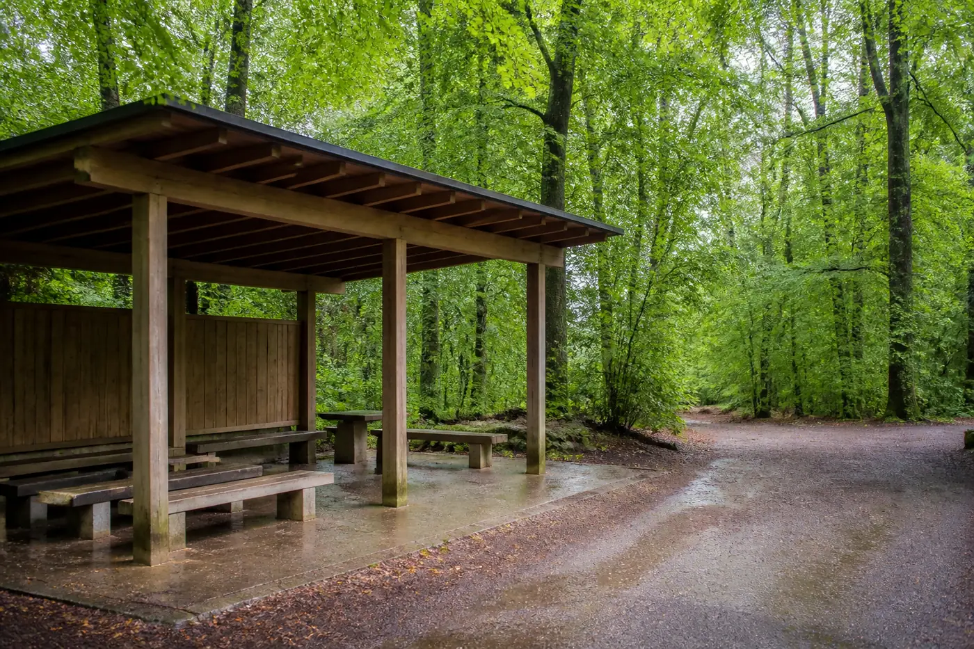 Überdachter Pavillon mit Sitzbänken am Rand eines Waldes