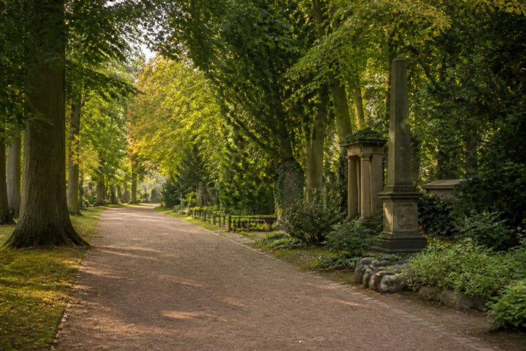 Baumbestandener Friedhofsweg in Göttingen mit historischen Grabmalen